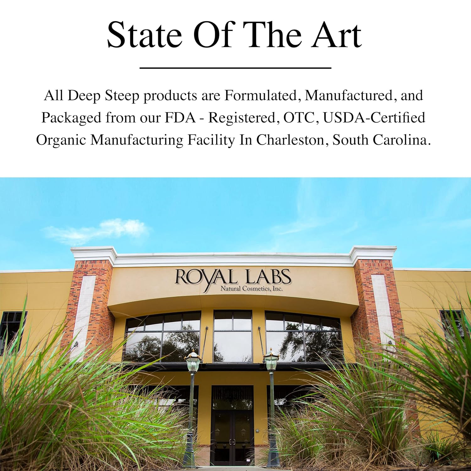 Deep Steep Sugar Scrub, Honey Blossom, 8 Oz – Exfoliating Body Scrub With Organic Coconut Oil, Shea Butter & Argan Oil – Vegan, Clean Beauty, Smooth, Soft & Nourished Skin : Beauty & Personal Care