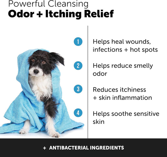 Pethonesty Chlorhexidine Shampoo + Skin Health Salmon Bundle - Itch Relief, Shiny Dog Coat, Dog Shampoo For Allergies, 100% Natural Fish Oil With Omega3S, Reduce Shedding, Healthy Skin & Coat