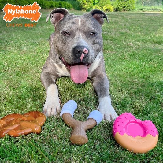 Nylabone Power & Strong Chew Dog Chew Toy Pack Bundle - Fun & Cute Dog Toys For Aggressive Chewers, Tough Dog Toys, Donut, Marshmallow Stick, And Pretzel Shapes, Giant/Large (3 Count)