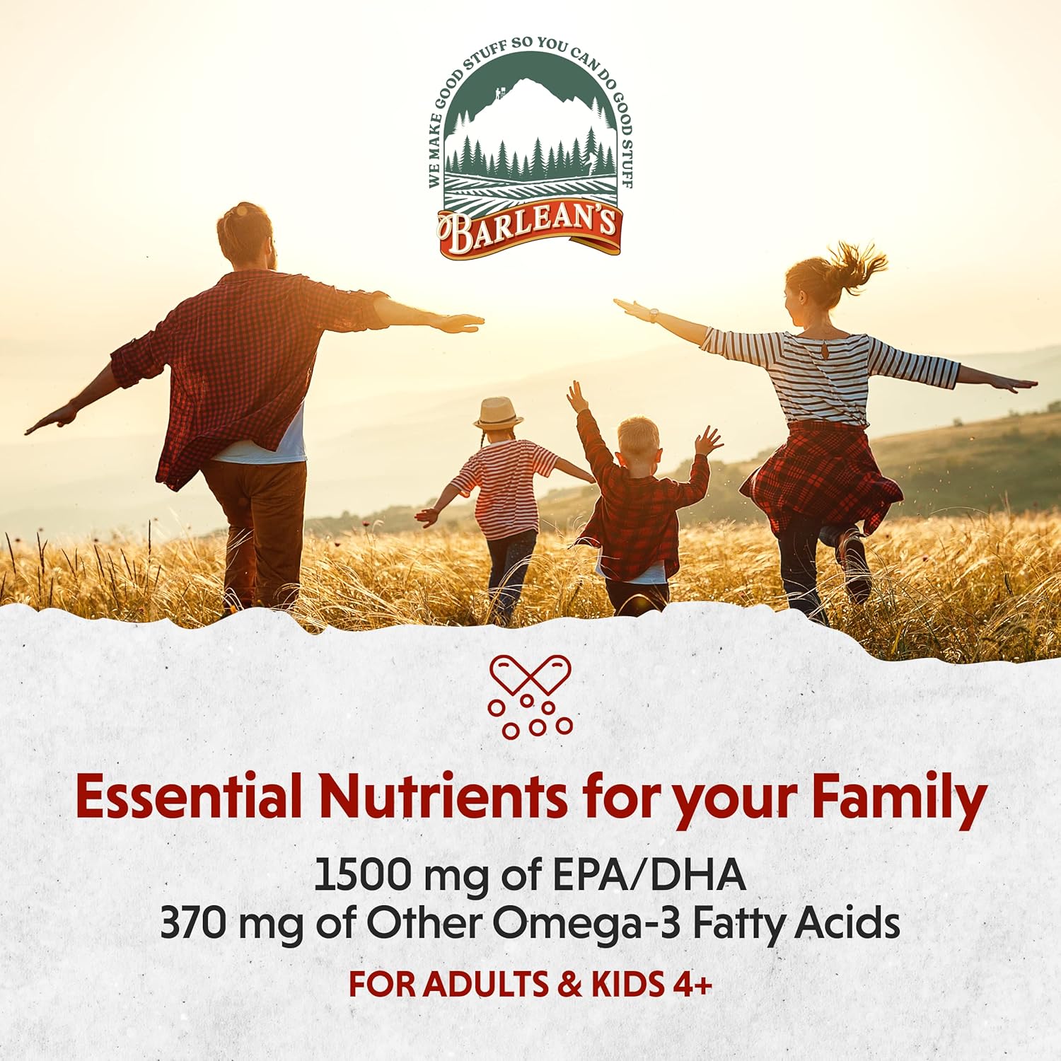 Barlean'S Organic Oils Seriously Delicious Omega-3 High Potency Fish Oil, Key Lime Pie, 16 Fl Oz : Health & Household