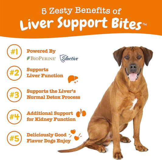 Zesty Paws Liver Support Supplement for Dogs - with Milk Thistle Extract, Turmeric Curcumin, Choline - Soft Chew Formula - for Dog Liver Function