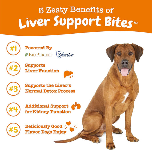 Zesty Paws Liver Support Supplement For Dogs - With Milk Thistle Extract, Turmeric Curcumin, Choline - Soft Chew Formula - For Dog Liver Function