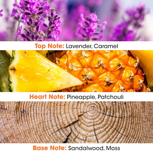 Fuel Power Eau De Toilette - Spray Perfume For Men - Fruity Floral Scent - Notes Of Mandarin And Grapefruit - Made In France - 3.38 Fl.Oz