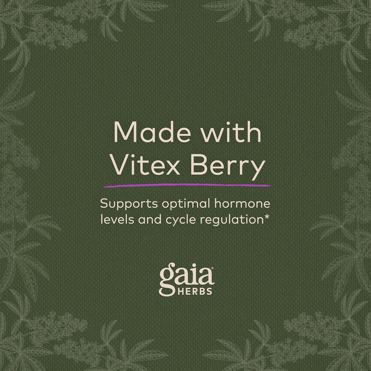 Gaia Herbs Cycle Support - Supports Hormone Balance & PMS Relief - Herbal Supplement with Vitex Berry & Schisandra - Free from Gluten, Dairy & Soy - 60 Vegan Capsules (30 Servings) : Health & Household