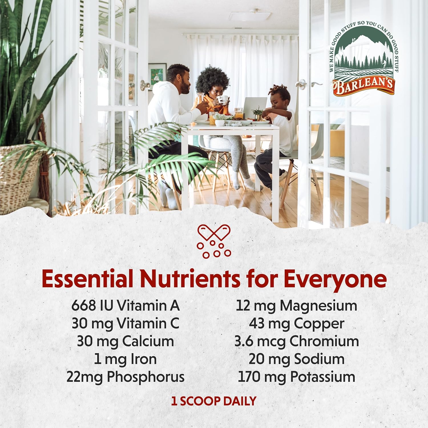 Barlean'S Chocolate Greens Powder, Daily Fruit And Vegetable Superfood Supplement, Green Antioxidant Blend And Fiber Smoothie Drink Mix, 9.52 Oz : Health & Household