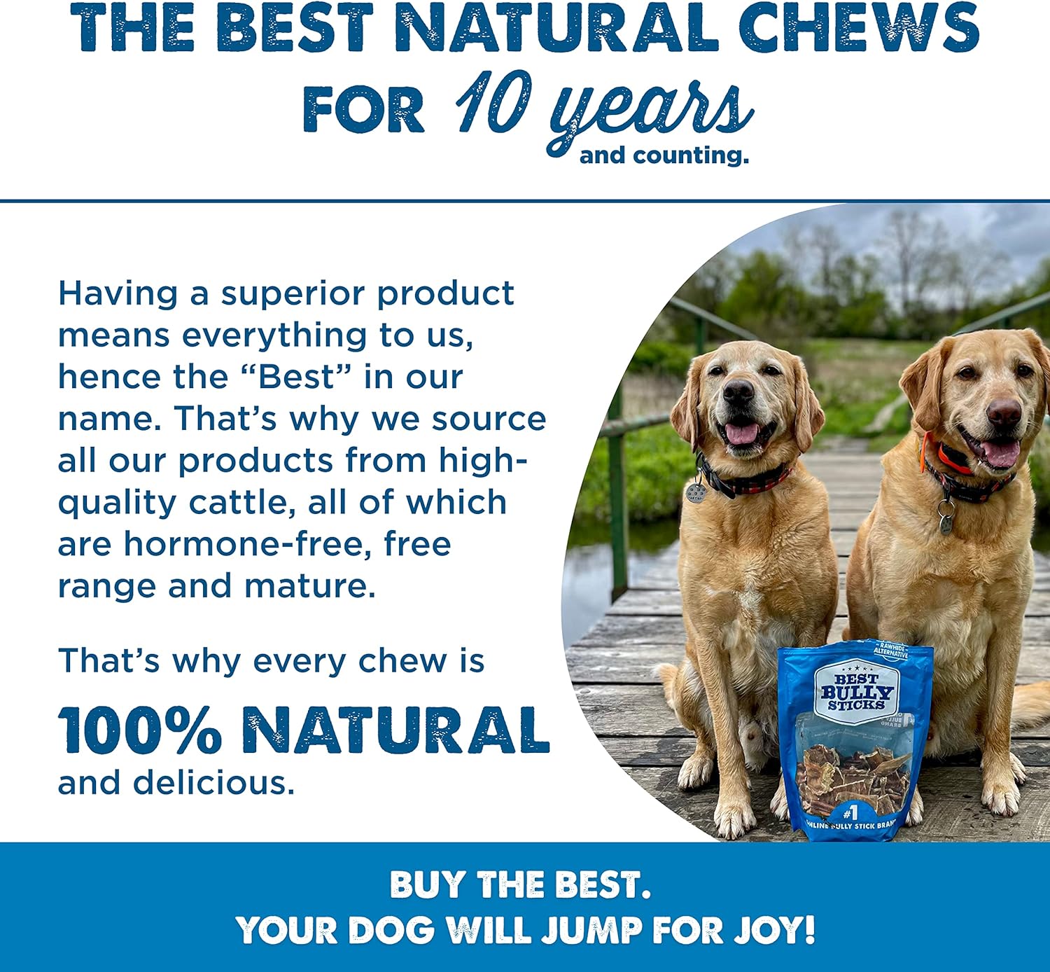 Best Bully Sticks Joint Jerky Gullet Bite Dog Treats (1.5lb. Bag) - All-Natural Beef Dog Treats : Pet Supplies