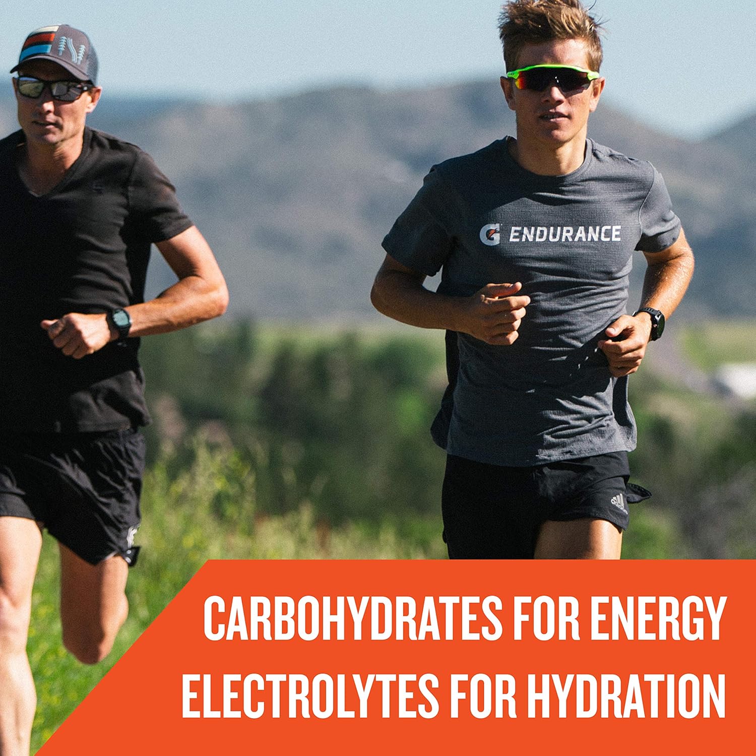 Gatorade Endurance Formula Powder, Watermelon, 32 Ounce : Health & Household