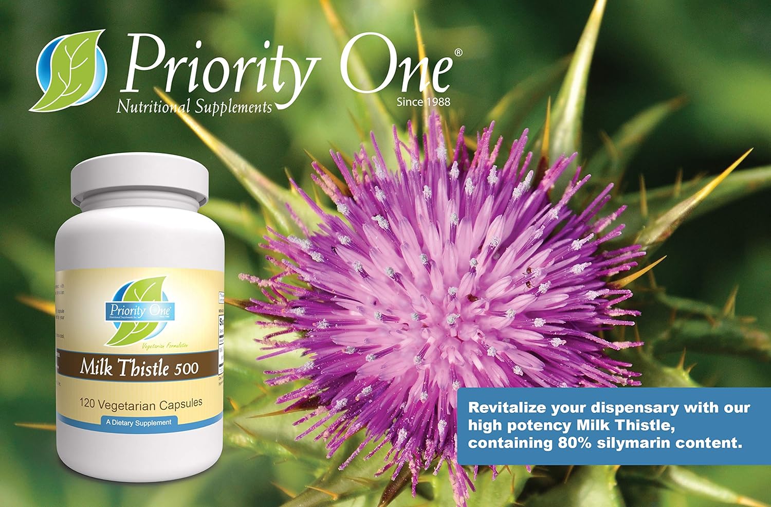 Priority One Vitamins Milk Thistle/Silymarin 80% 120 Vegetarian Capsules - High Potency, clinically dosed Supporting Healthy Liver Function.* : Health & Household
