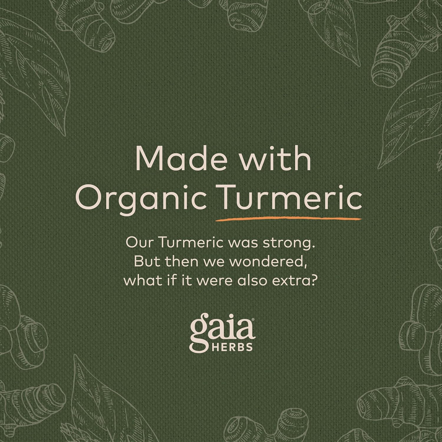 Gaia Herbs Turmeric Supreme Extra Strength - Helps Reduce Occasional Discomfort from Normal Wear & Tear - With Turmeric Curcumin & Black Pepper - 180 Vegan Liquid Phyto-Capsules (Up to 180-Day Supply) : Health & Household