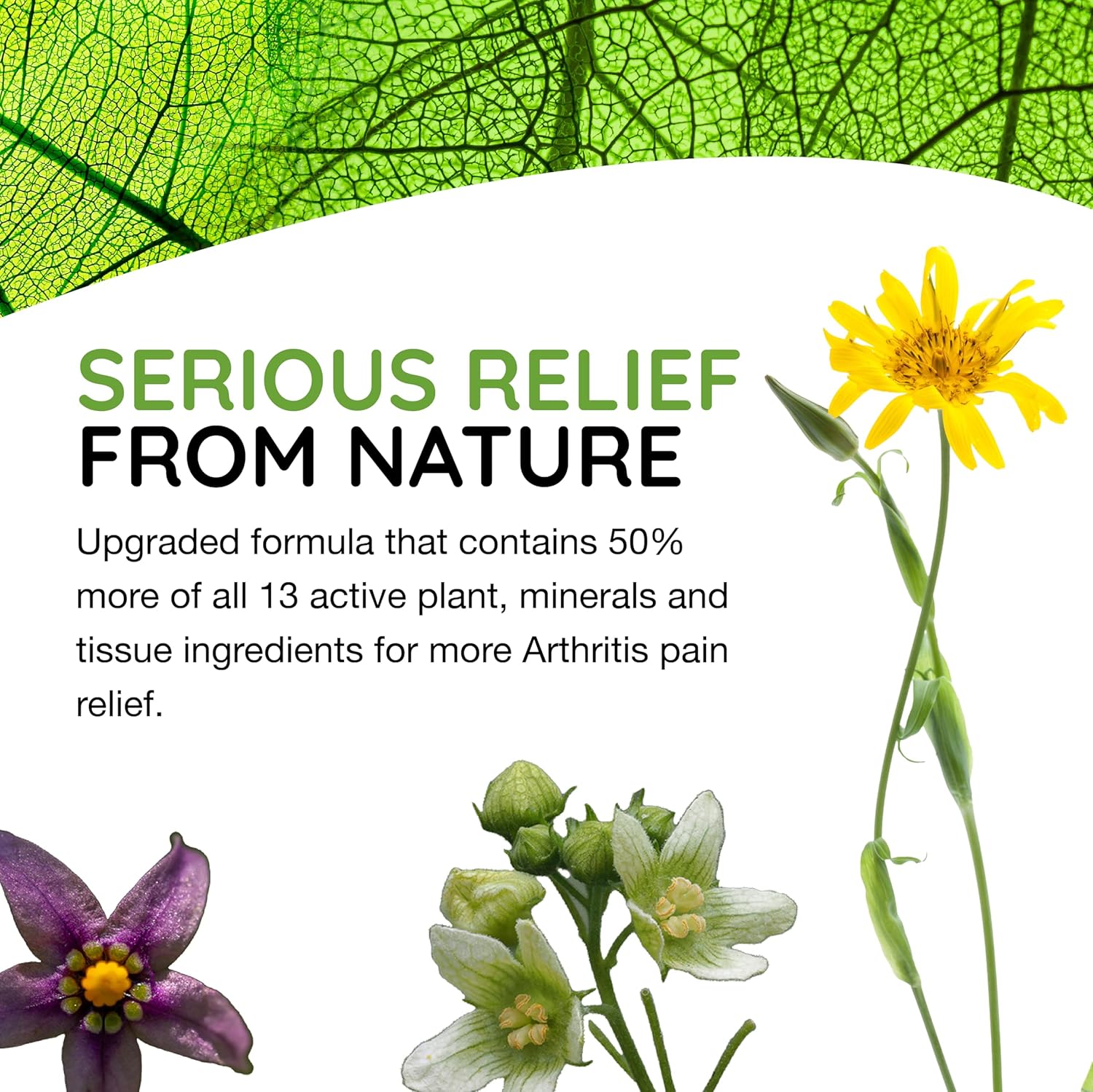 T-Relief Extra Strength Arthritis Pain Reliever Arnica +12 Natural Medicines For Joint Soreness Stiffness Aches, Quick Dissolving Pain Relief For Women & Men - 100 Tablets : Health & Household