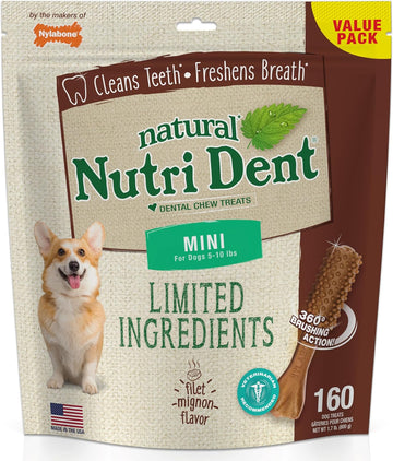 Nylabone Nutri Dent Dog Dental Chews - Natural Dog Teeth Cleaning & Breath Freshener - Dental Treats for Dogs - Filet Mignon Flavor, Mini (160 Count)