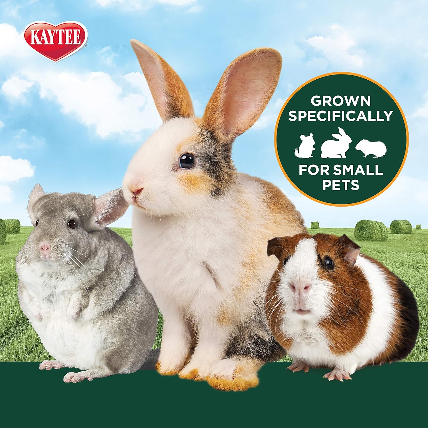 Kaytee Timothy Hay Plus Spearmint/Marigold/Carrot 3 Flavor Variety Pack for Pet Guinea Pigs, Rabbits & Other Small Animals, 60 Ounce (Pack of 1) : Pet Supplies