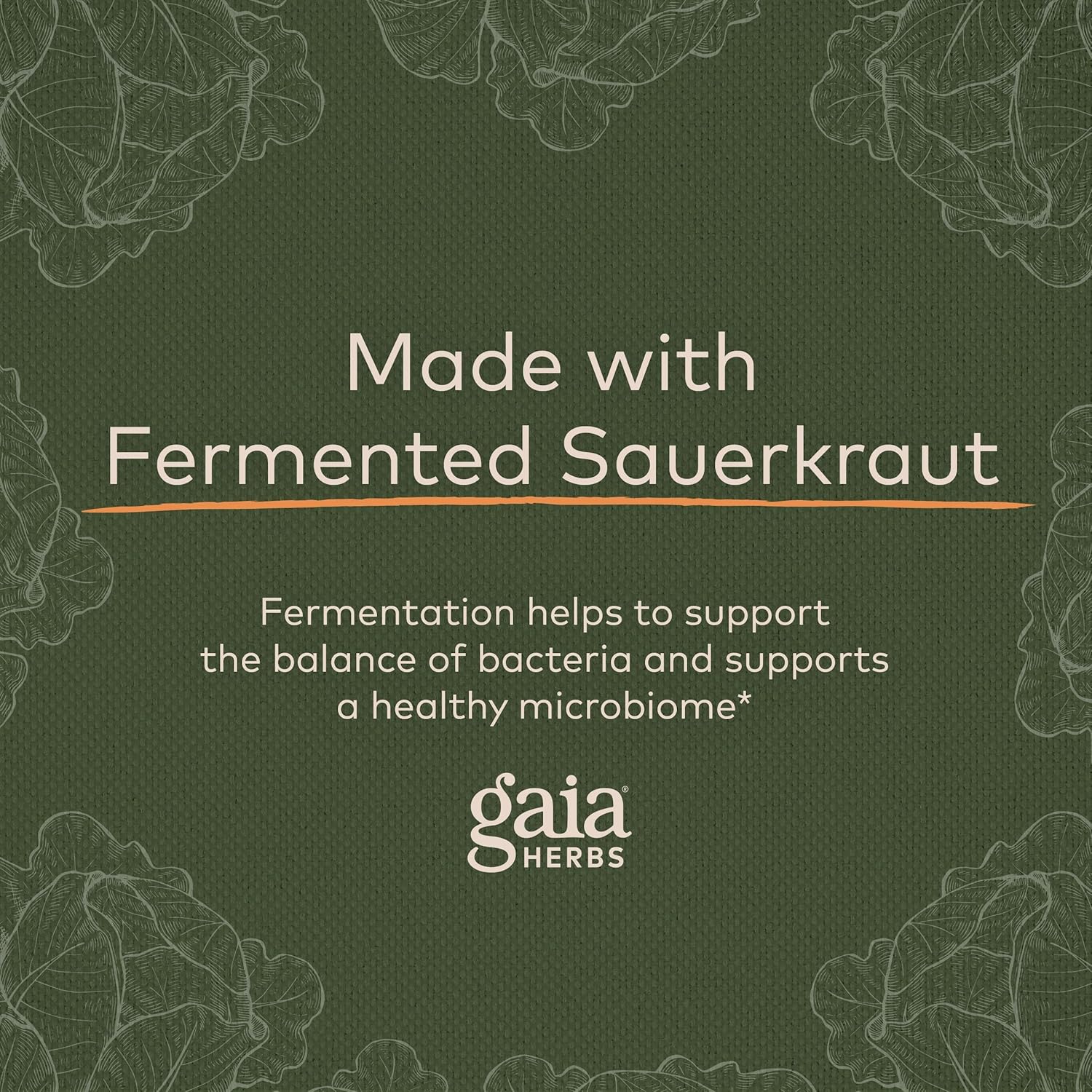 Gaia Herbs Sauerkraut Postbiotic - Natural Gut Health & Immune Support Supplement - Made with Fermented Sauerkraut - Free from Dairy, Soy & Gluten - 60 Vegan Capsules (30 Servings) : Health & Household