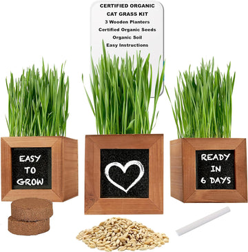 Organic Indoor Cat Grass Kit - 3 Wooden Planters, Certified Seeds, And Premium Soil For Happy Cats. Delight Your Feline Friends With The Ultimate Cat Grass Experience! Ideal Gift For Cat Lovers