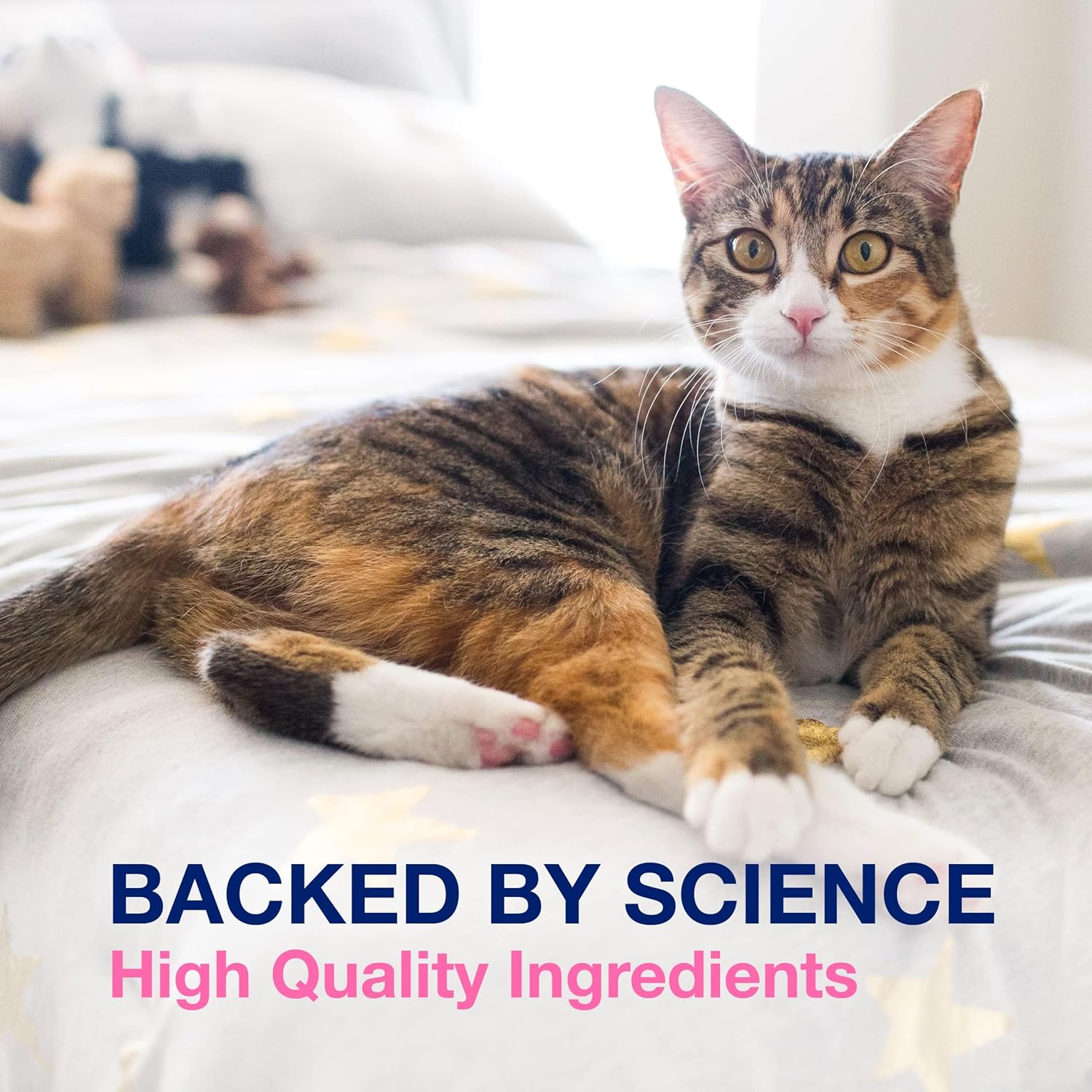 Proviable Digestive Health Supplement Multi-Strain Probiotics and Prebiotics for Cats and Dogs - with 7 Strains of Bacteria, 80 Capsules : Pet Supplements And Vitamins : Pet Supplies