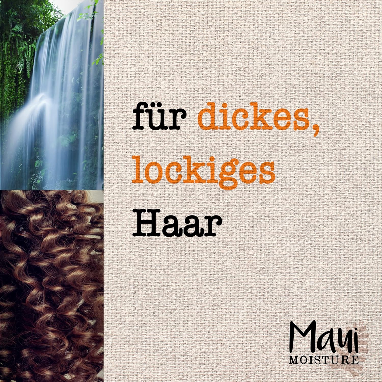 Maui Moisture Hair Care, Curl Quench+, Coconut Oil, Shampoo For Thick And Curly Hair, 385 Ml (Packing May Vary)