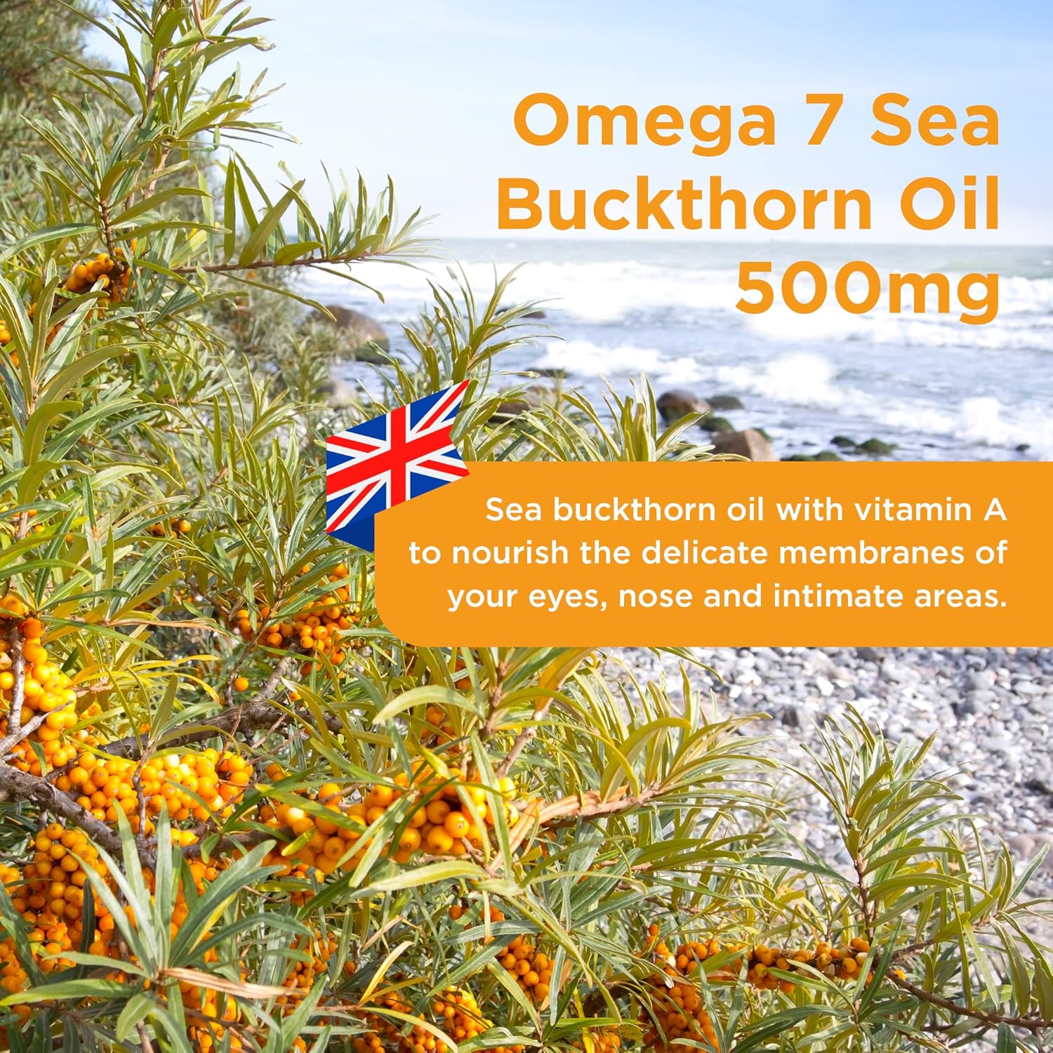 Healthspan Omega 7 Sea Buckthorn Oil 500mg (60 Capsules) | Menopause R