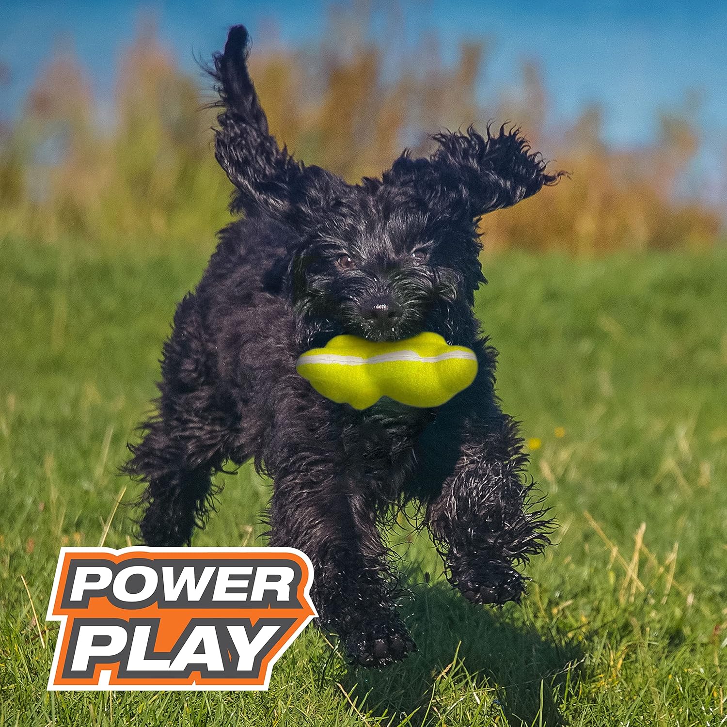 Pet Supplies : Nylabone Power Play Tennis Teddy Gripz Bear Dog Toy Teddy Medium (1 Count) : Amazon.com