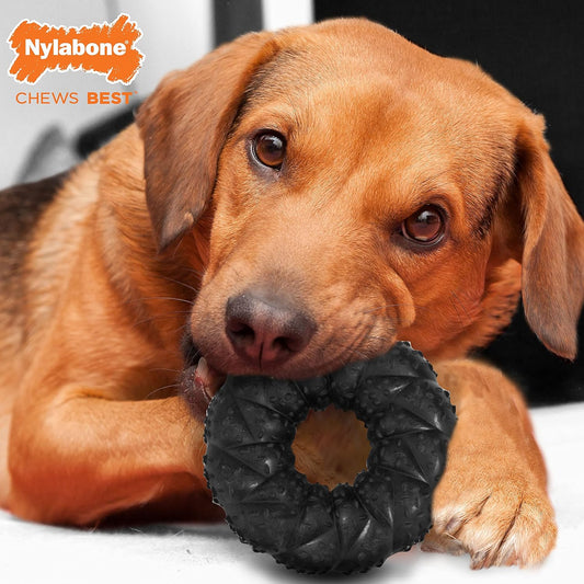 Nylabone Strong Max Chew Braided Ring Chew Toy For Dogs, Beef, Medium/Wolf - Up To 35 Lbs. (1 Count)