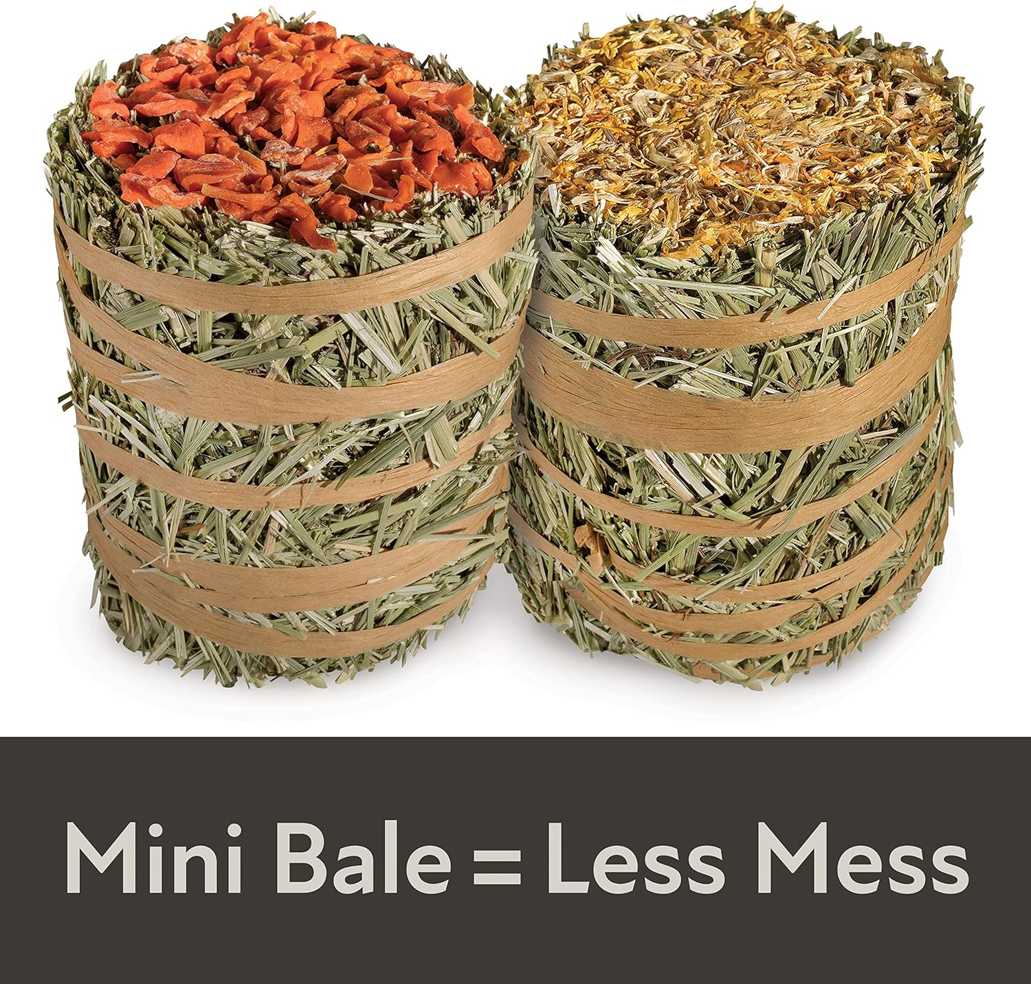 Kaytee Field+Forest Mini Hay Bales Carrot Marigold 2 Pack 7 Ounces : Pet Supplies