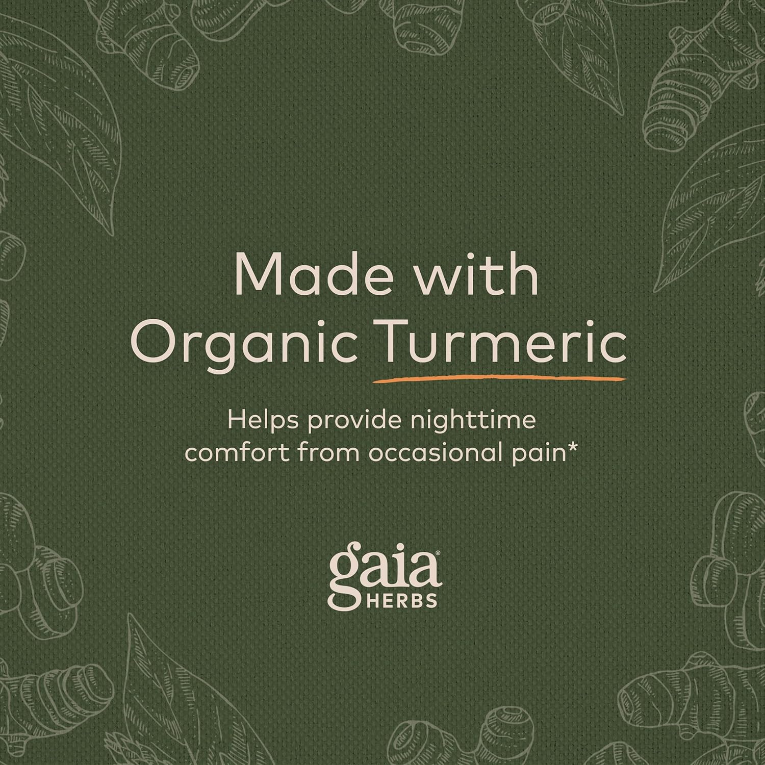 Gaia Herbs Turmeric Supreme Discomfort P.M. - Helps Provide Nighttime Comfort to Support More Restful Sleep - with Tumeric Curcumin, Kava, Valerian, Feverfew - 60 Liquid Phyto-Capsules(30-Day Supply) : Health & Household