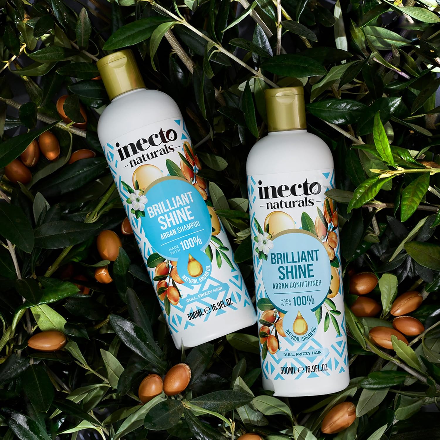 INECTO Natural Argan Shine Conditioner 500ml, Rich & Nourishing Pure Argan Oil for Beautiful Healthy Shine, for Dull Damaged Hair : Amazon.co.uk: Beauty