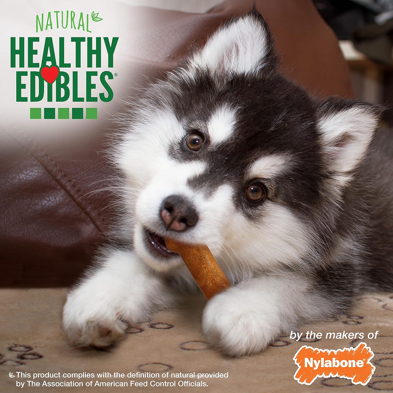 Nylabone Healthy Edibles Natural Puppy Treats - Long-Lasting Dog Treats - Puppy Supplies - Turkey & Sweet Potato Flavor, X-Small/Petite (4 Count) : Pet Snack Treats : Pet Supplies