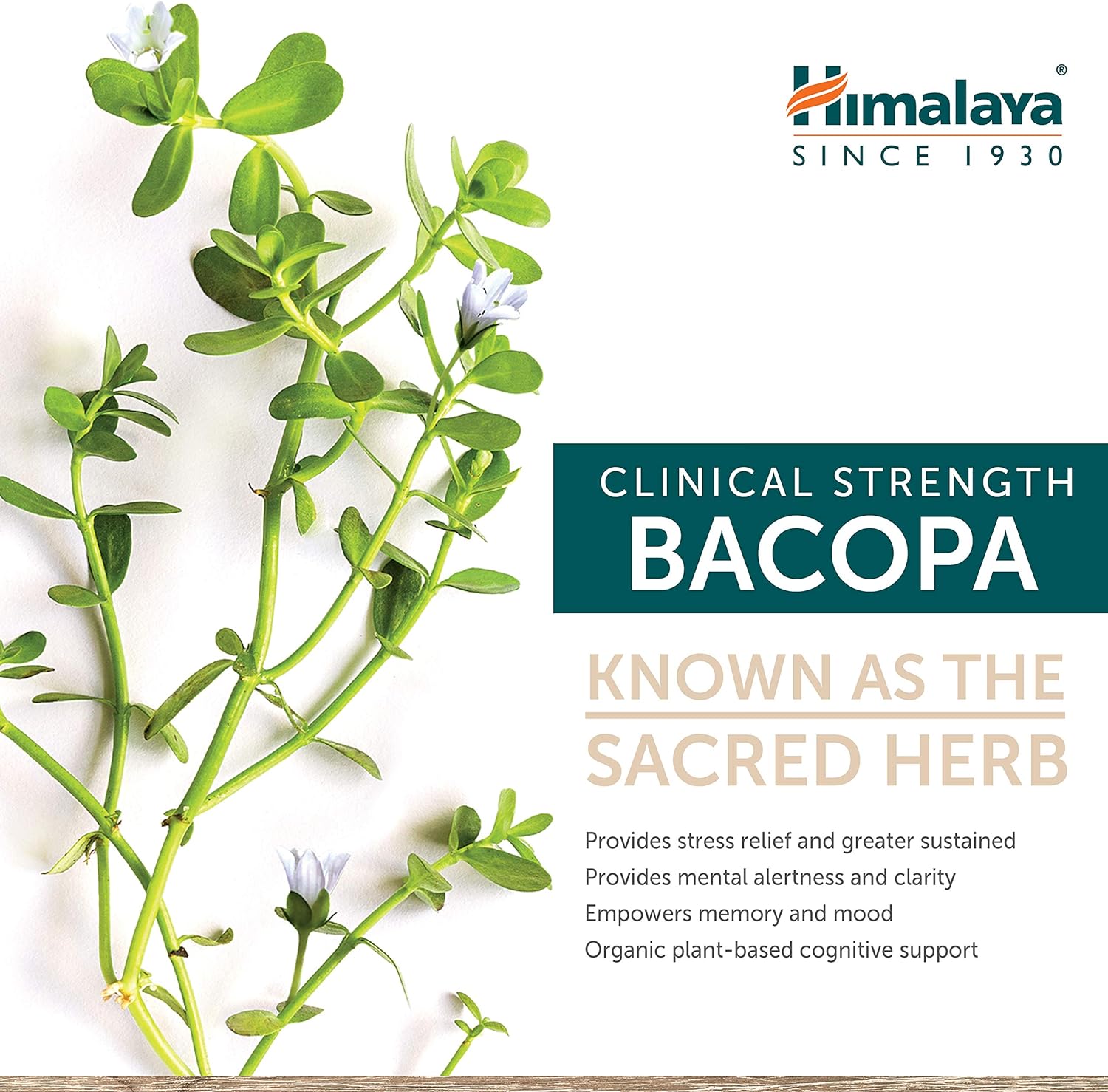 Himalaya Organic Bacopa Monnieri Nootropic Herbal Supplement, Supports Calm, Memory, Cognition, USDA Certified Organic, Non-GMO, 750 mg, 60 Plant-Based Caplets, 60 Day Supply : Health & Household