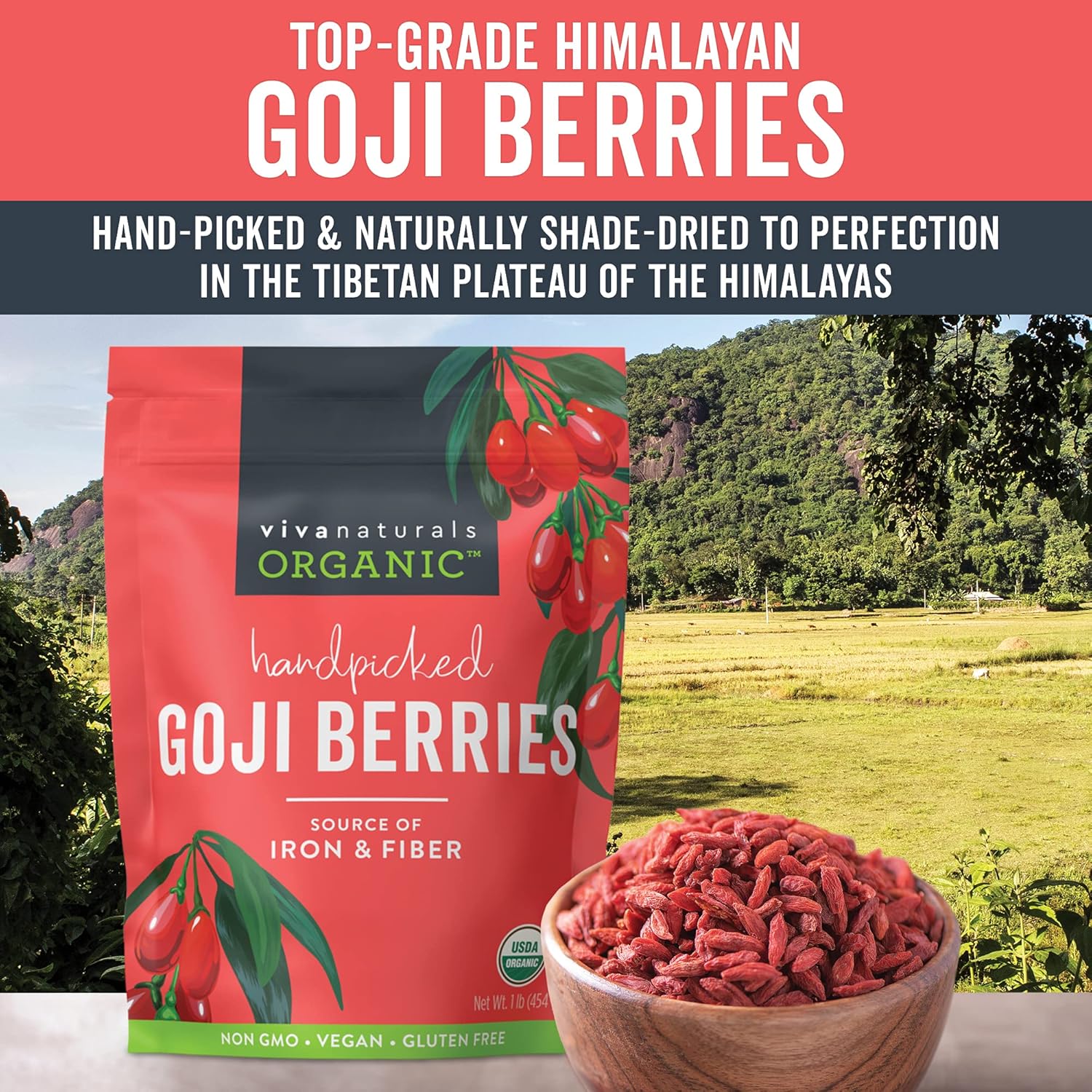 Viva Naturals Organic Dried Goji Berries, 16 oz (1 lb) Non-GMO and Vegan Wolfberries, Perfect for Baking, Smoothies, Teas and Snacks, Goji Berries Organic : Grocery & Gourmet Food