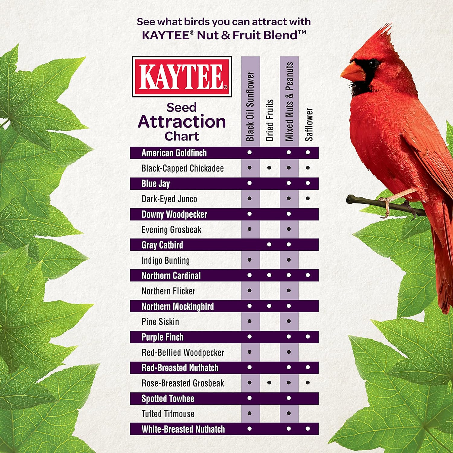 Kaytee Nut and Fruit Blend Stand Up Bag, 5-Pound : Pet Supplies