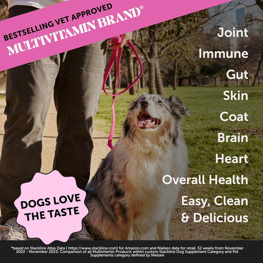 Pet Honesty Dog Multivitamin Supplement With Salmon Oil For Dogs - Allergy Itch Relief, Digestion, Skin & Coat Health, Liquid Supplement - Dog Food Topper Bone Broth With Prebiotics (12 Oz)