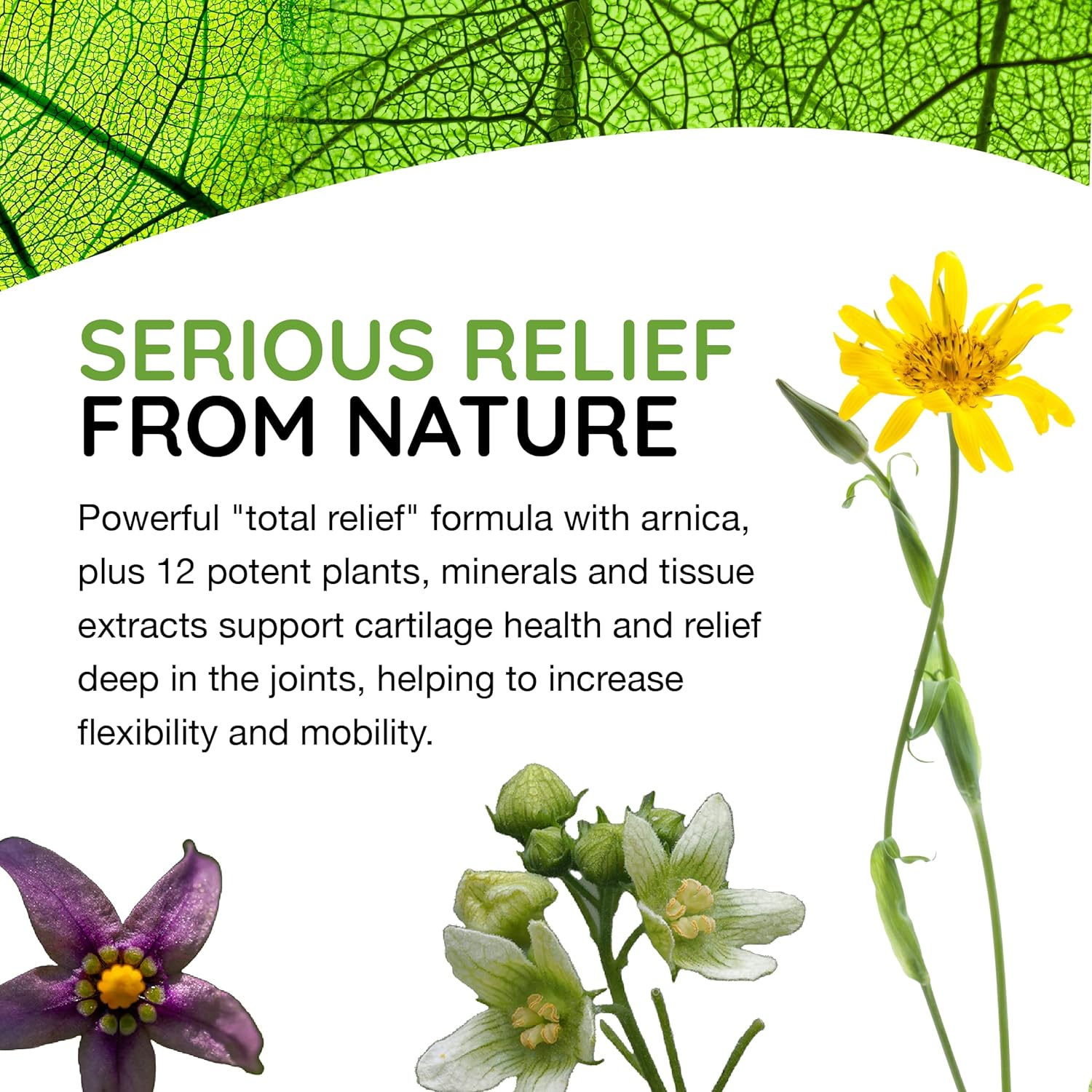 T-Relief Arthritis Arnica +12 Pain Relieving Natural Medicines Help Re