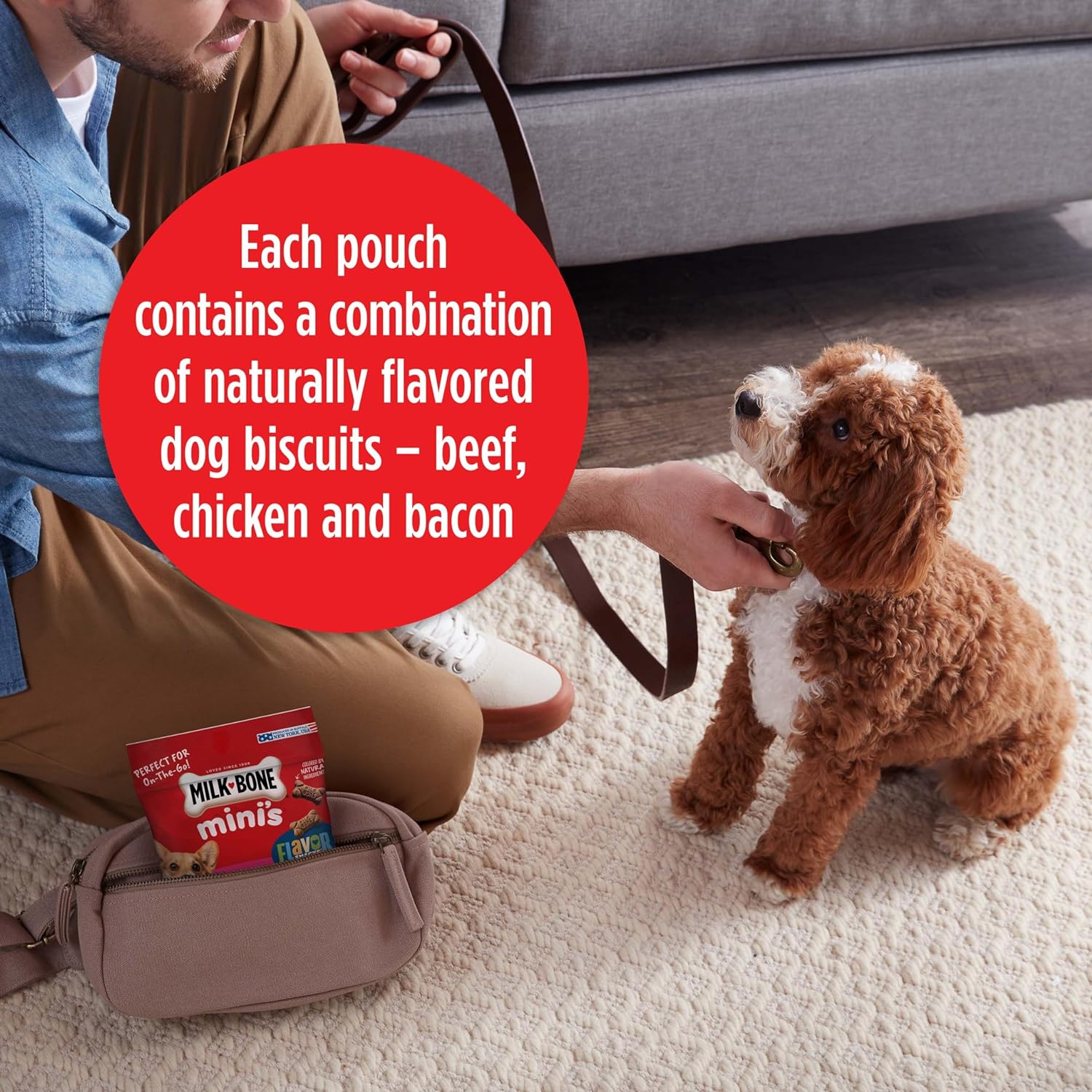 Milk-Bone Mini's Flavor Snacks Dog Treats, 2.5 Ounce (Pack of 20), Perfect for Walks, Travel Size, Party Favor : Pet Supplies