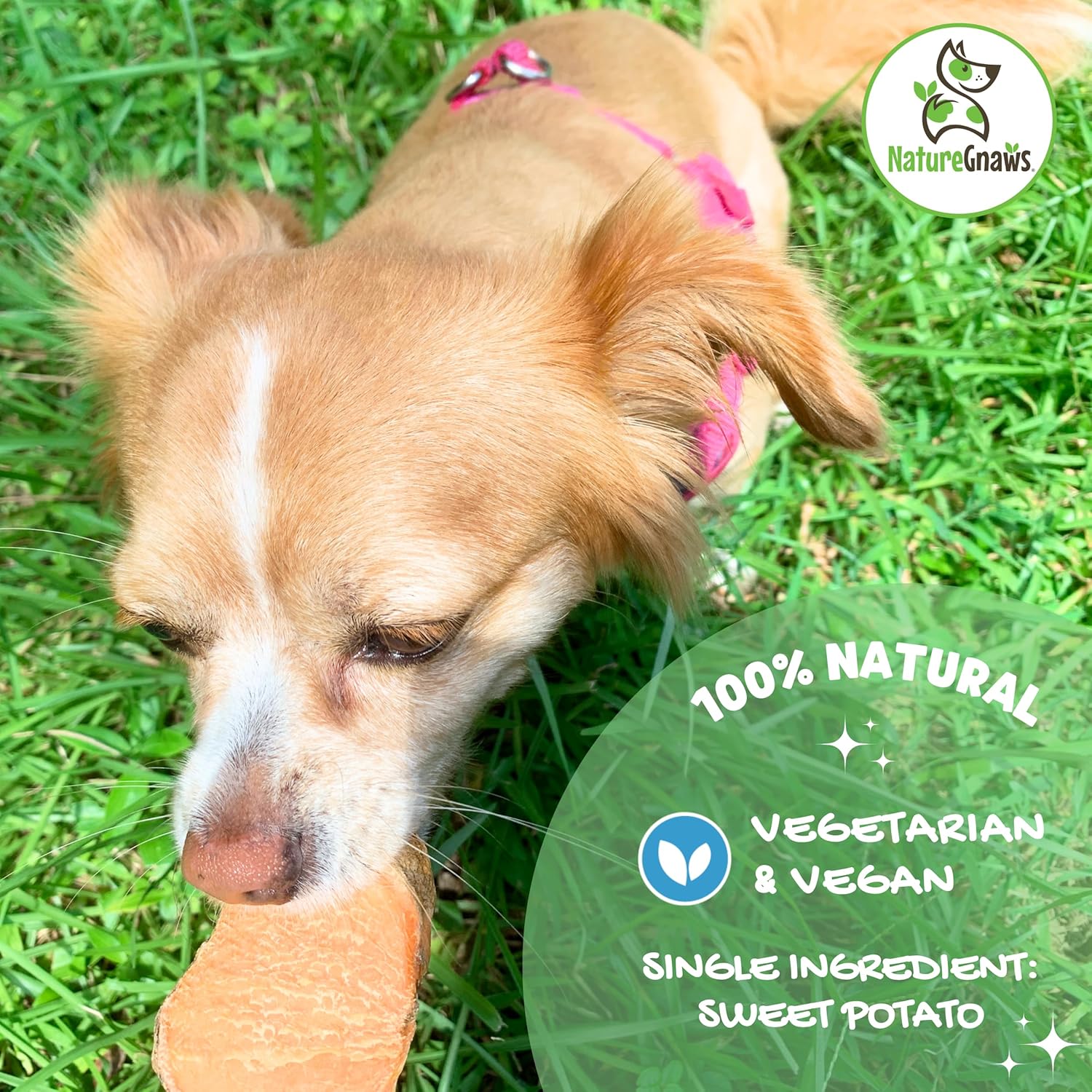 Nature Gnaws Sweet Potato Chips for Dogs - Single Ingredient Natural Dog Chew Treats - 12 oz : Pet Supplies