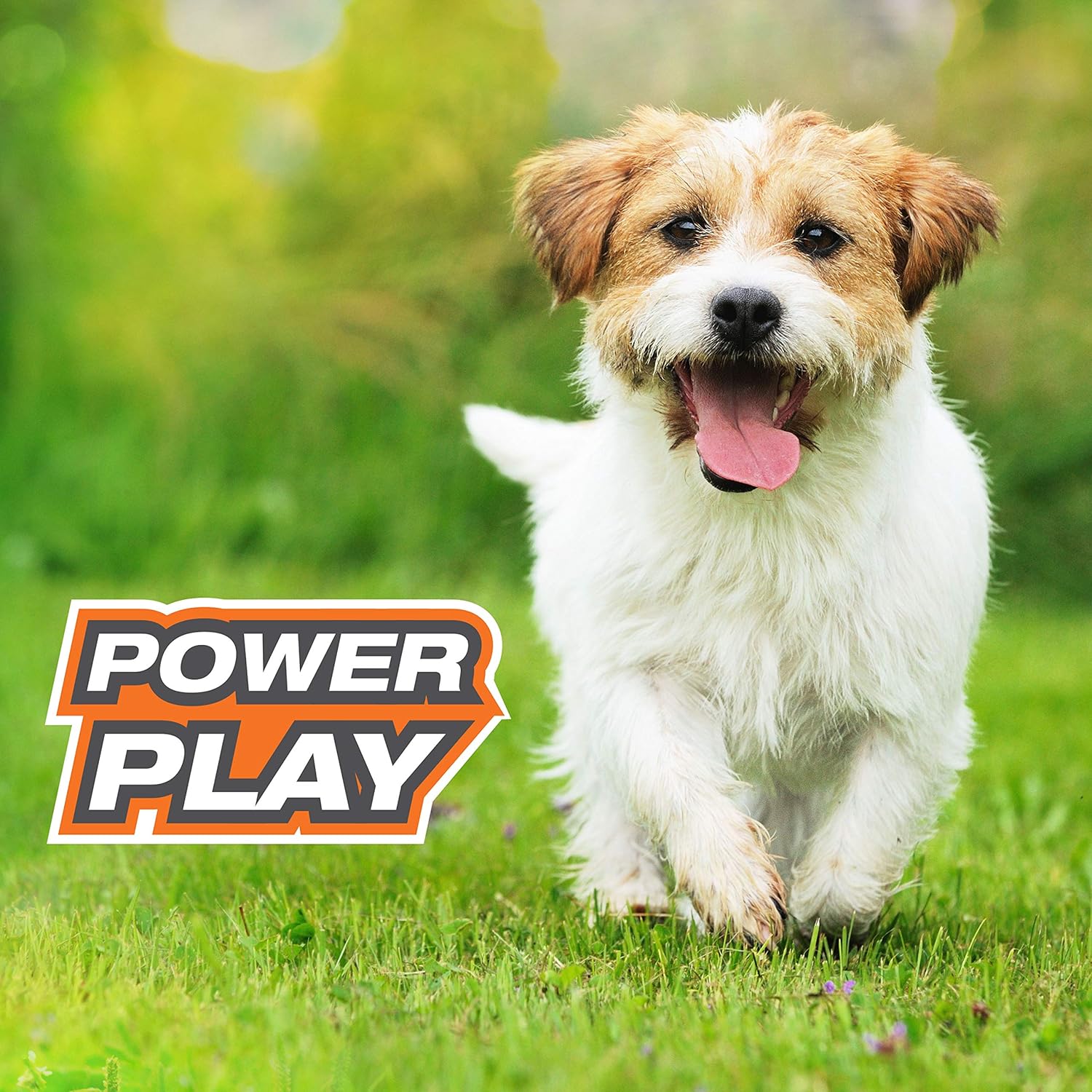 Pet Supplies : Nylabone Power Play Tennis Gripz Fetch Toy, Squeaky Tennis Ball Chew Toy for Dogs, Small (3 Count) : Amazon.com