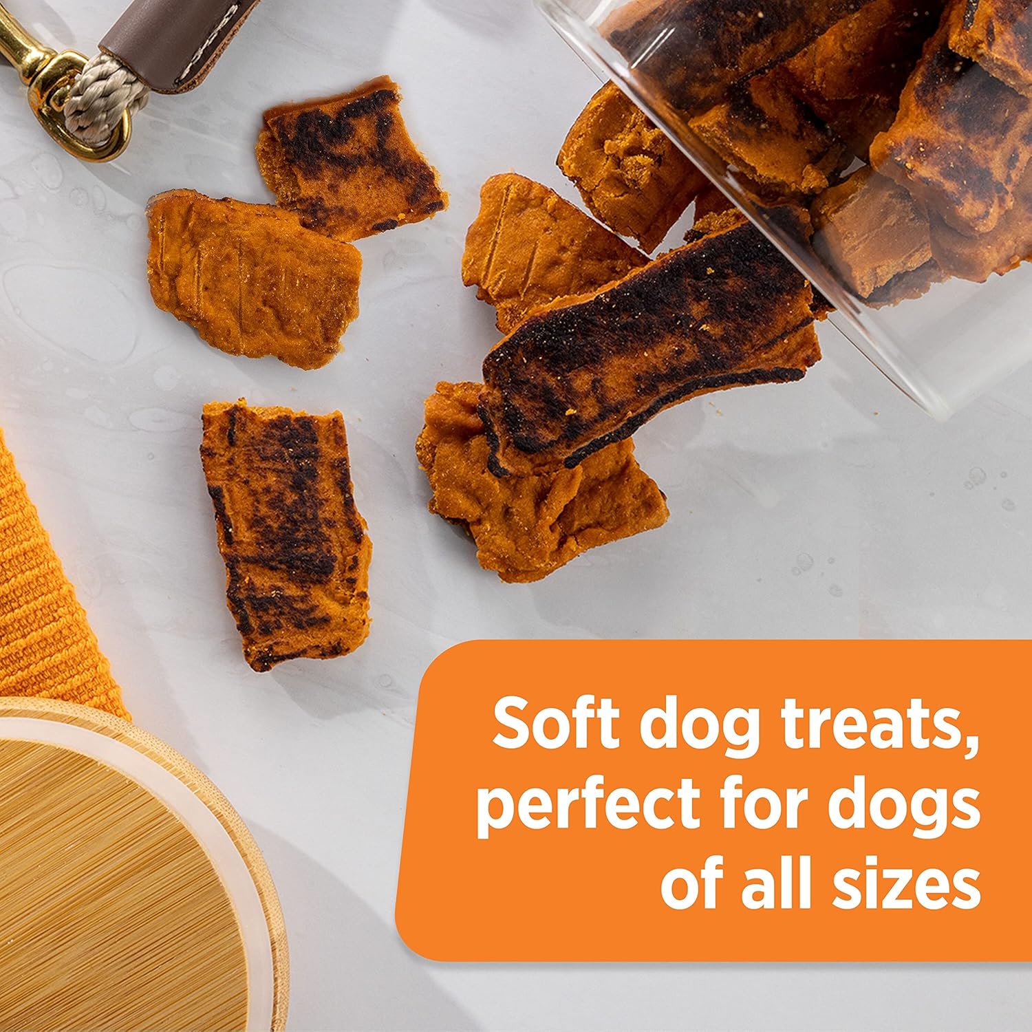 Rachael Ray Nutrish Turkey Bites Real Meat Grain Free Dog Treats, Turkey Recipe with Hickory Smoked Bacon Flavor, 5 Ounce (Pack of 5) Packaging May Vary : Pet Supplies