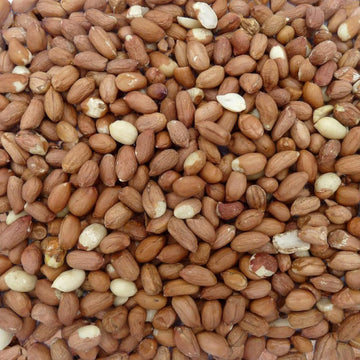 Peanuts for Wild Birds 12.5kg - High Energy Food, High Protein Feed, Rich in Fats and Fibre, Great for Hanging Feeders, Bird Tables and Ground Feeding, Bulk Bag - Buzzby's?83138056