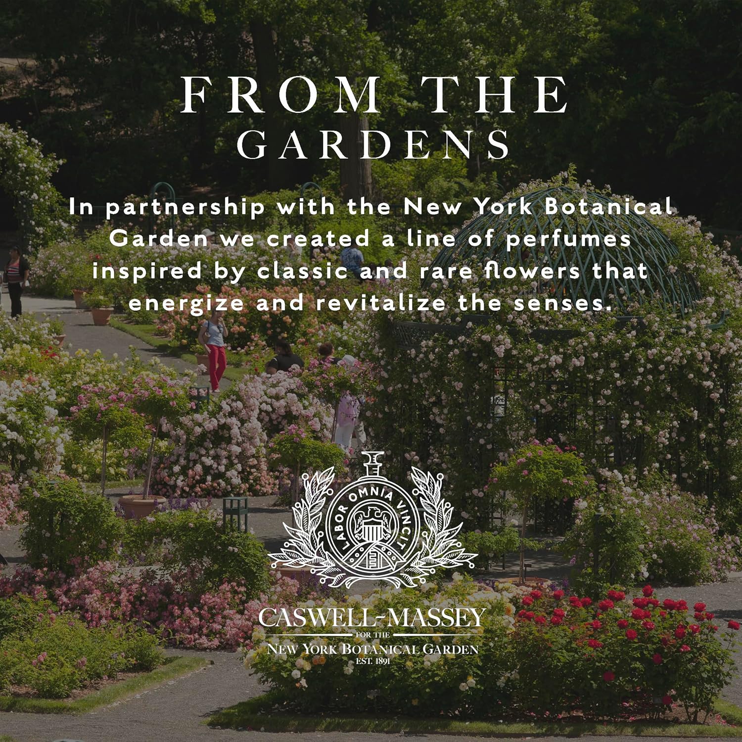 Caswell-Massey Elixir Of Love Eau De Toilette Spray, Enchanting Floral Perfume For Women With Lavender, Jasmine, Passionflower & Artemisia Blend, Made In Usa, 0.25 Oz : Beauty & Personal Care