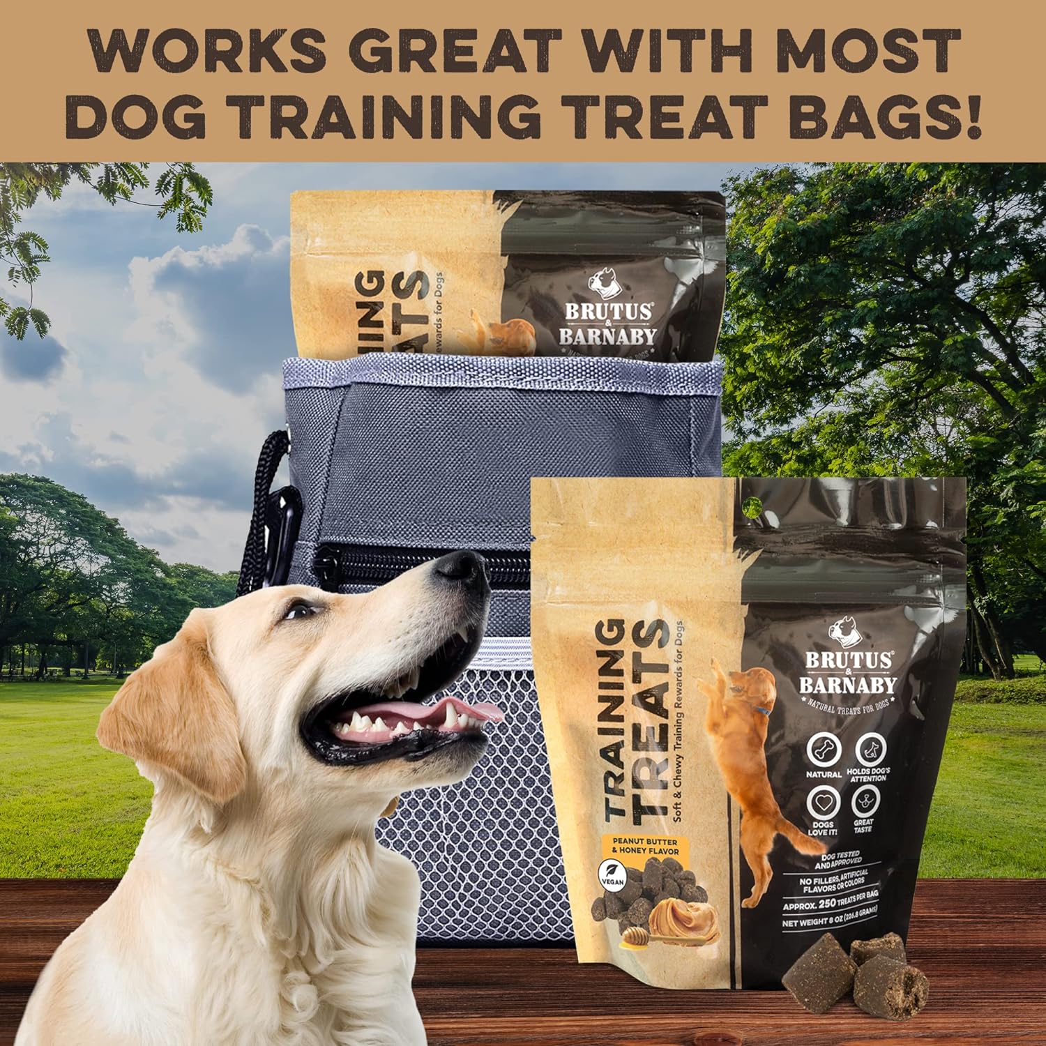 BRUTUS & BARNABY Training Treats for Dogs - Peanut Butter & Honey - All-Natural Healthy Low Calorie Vegetarian Treat - Great to Use for Rewards in Training Your Puppy Or Dog : Pet Supplies