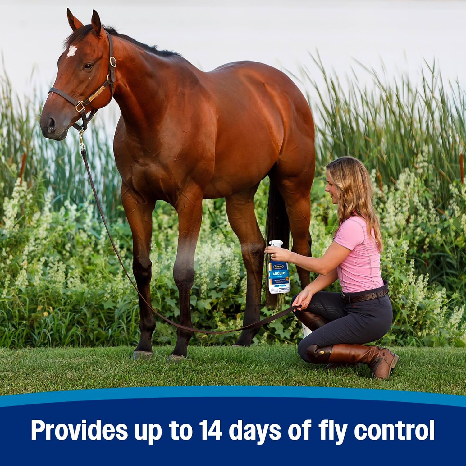 Farnam Endure Sweat-Resistant Fly Spray For Horses, Lasts Up To 14 Days, Protects Against Flies, Gnats, Mosquitoes, Ticks & Lice, 32 Oz. : Pet Supplies