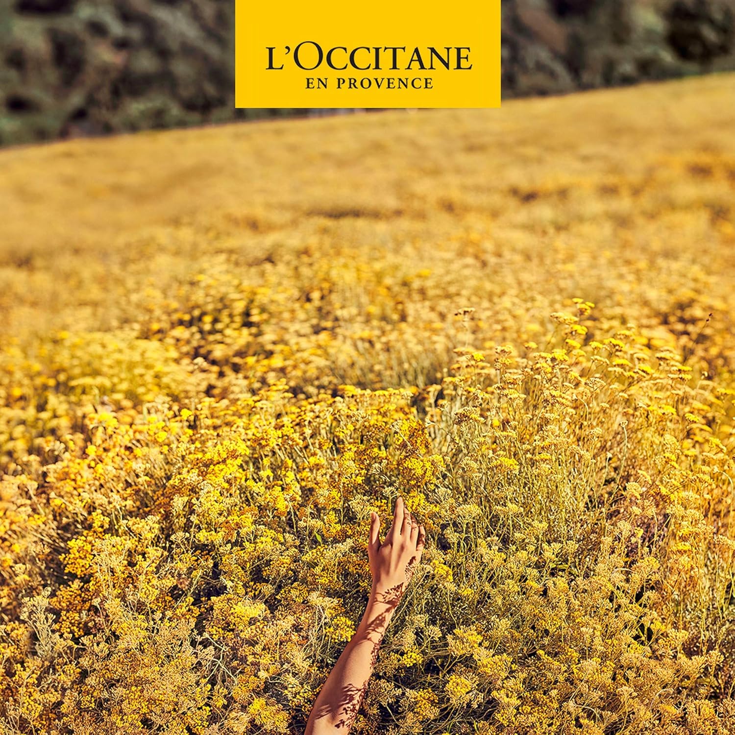 L'Occitane L'Occitan After Shave Balm: Moisturizing, Reduce Feelings Of Irritation, Hydrate Skin, Made In France, Vegan, Best In Grooming : Beauty & Personal Care