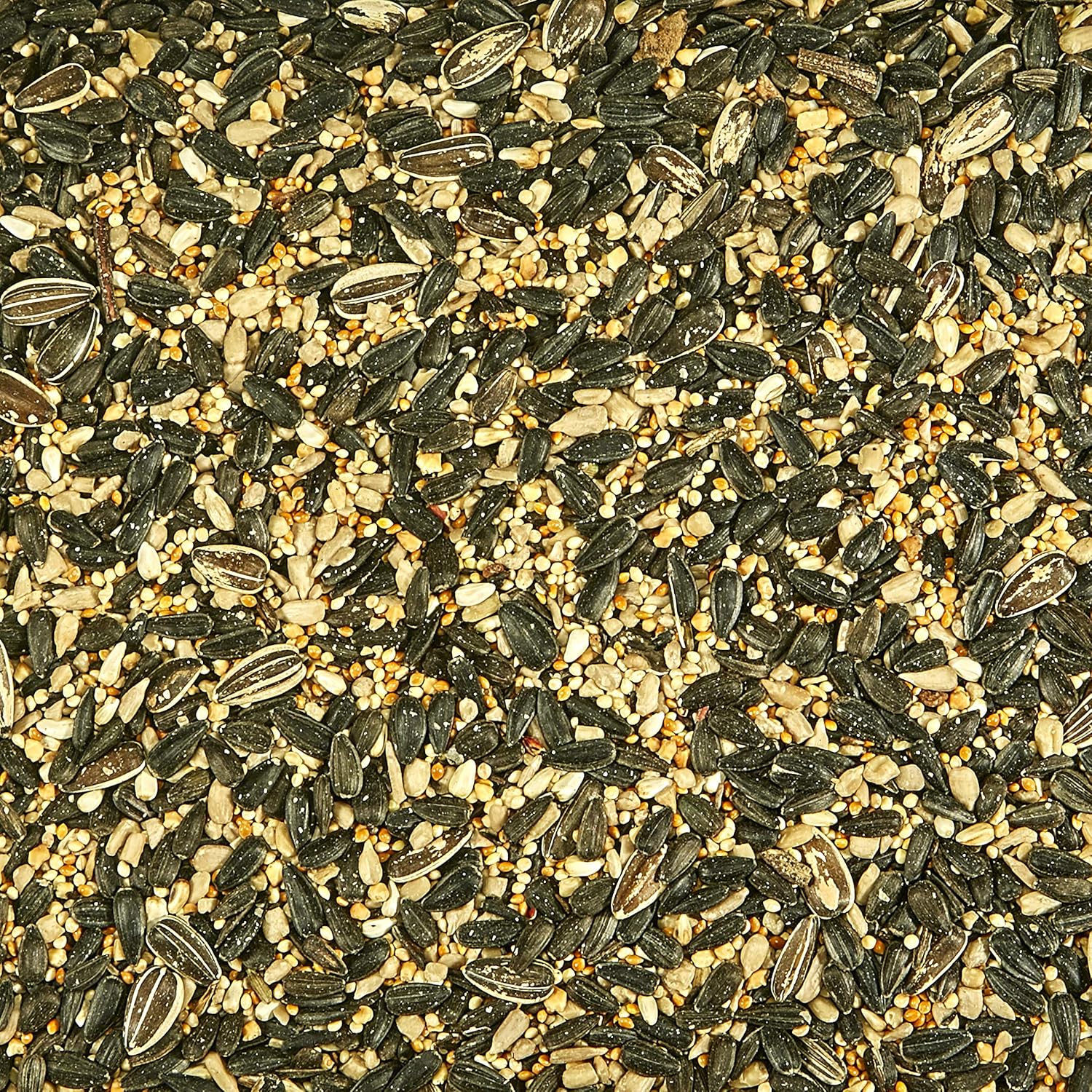 Kaytee Northeast Regional Wild Bird Blend, 7-Pound Bag : Everything Else
