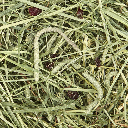 Kaytee All Natural Timothy Hay Plus Cranberries For Guinea Pigs, Rabbits & Other Small Animals, 24 Ounce