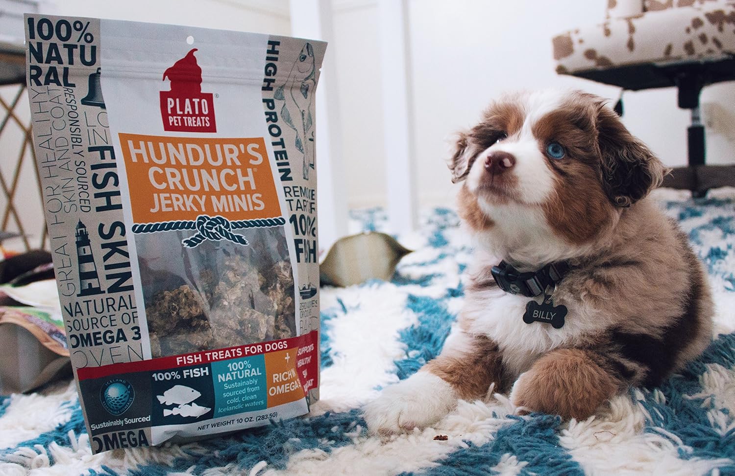 PLATO Hundur's Crunch Jerky Minis 10oz, Natural (859554001397) : Pet Supplies