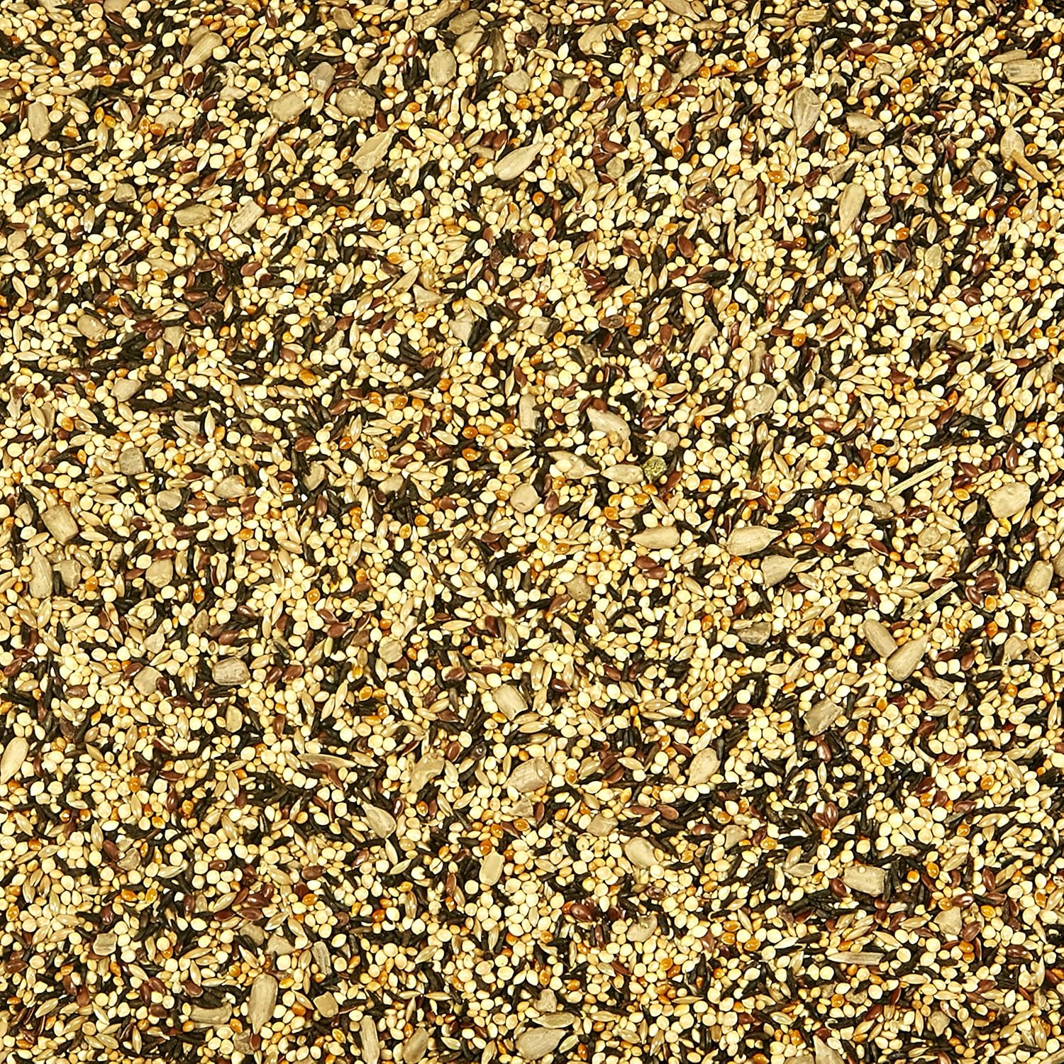 Kaytee Wild Bird Finch Food Blend, 3 lb : Patio, Lawn & Garden