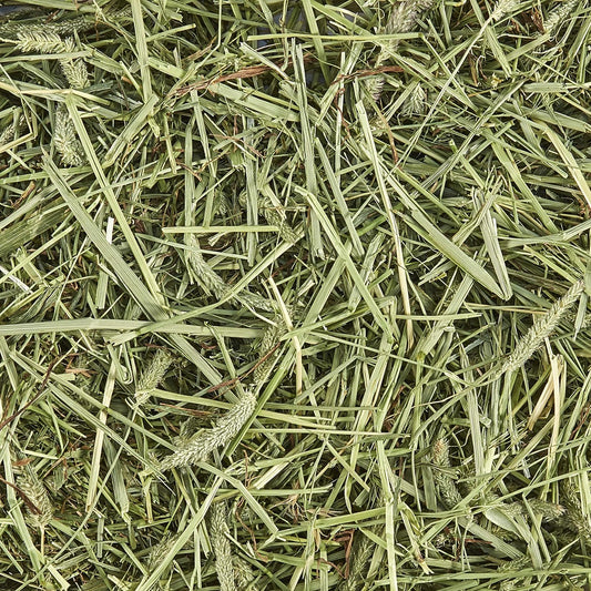 Kaytee All Natural Timothy Hay For Guinea Pigs, Rabbits & Other Small Animals, 1.5 Pound