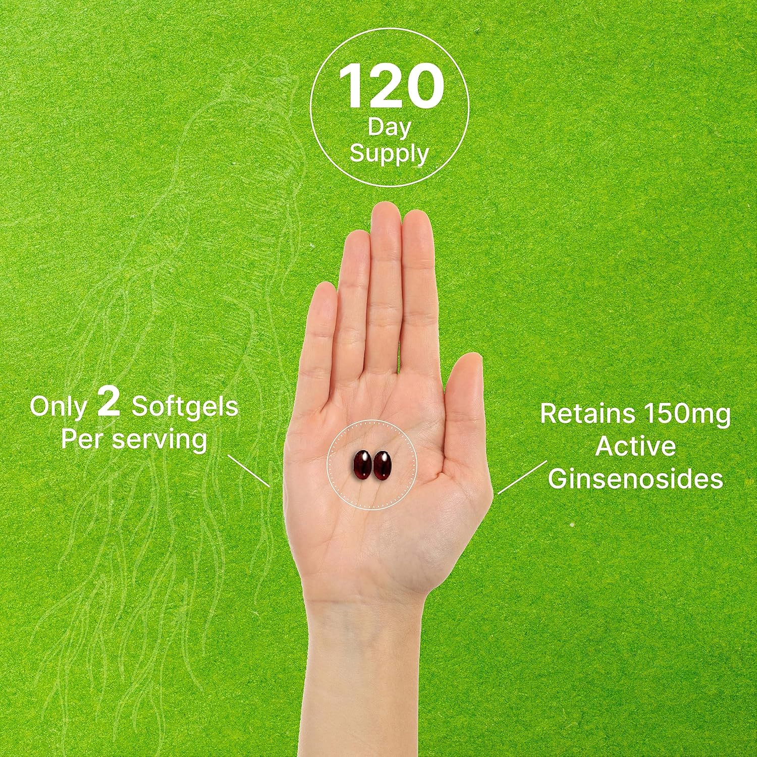 Korean Red Panax Ginseng Root Extract, 7,500mg Serving, 240 Softgels – 150mg Active Ginsenosides : Health & Household