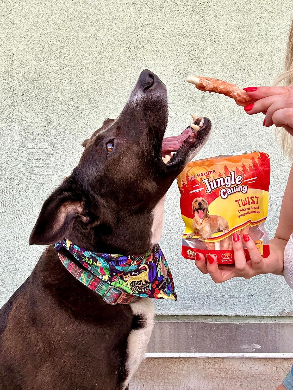 Jungle Calling Dog Treats, Chicken Wrapped Rawhide Sticks for Dogs, Delicious and Nutritious Training Reward Treats and Dog Chews Snacks, 6 oz : Pet Supplies