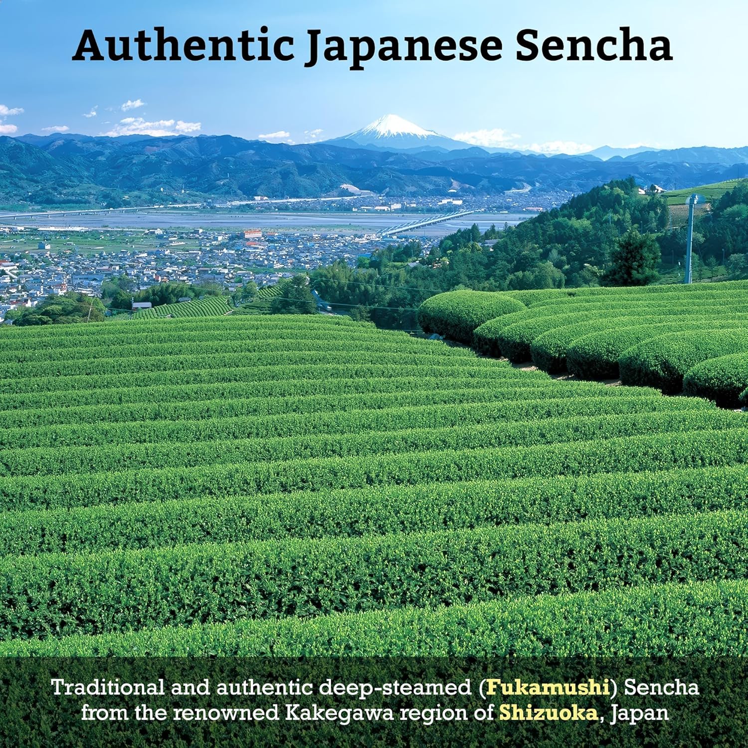 Sugimoto Tea Japanese Hojicha Roasted Green Tea Loose Leaf 2.0 Oz (57 G) Pack Of 1