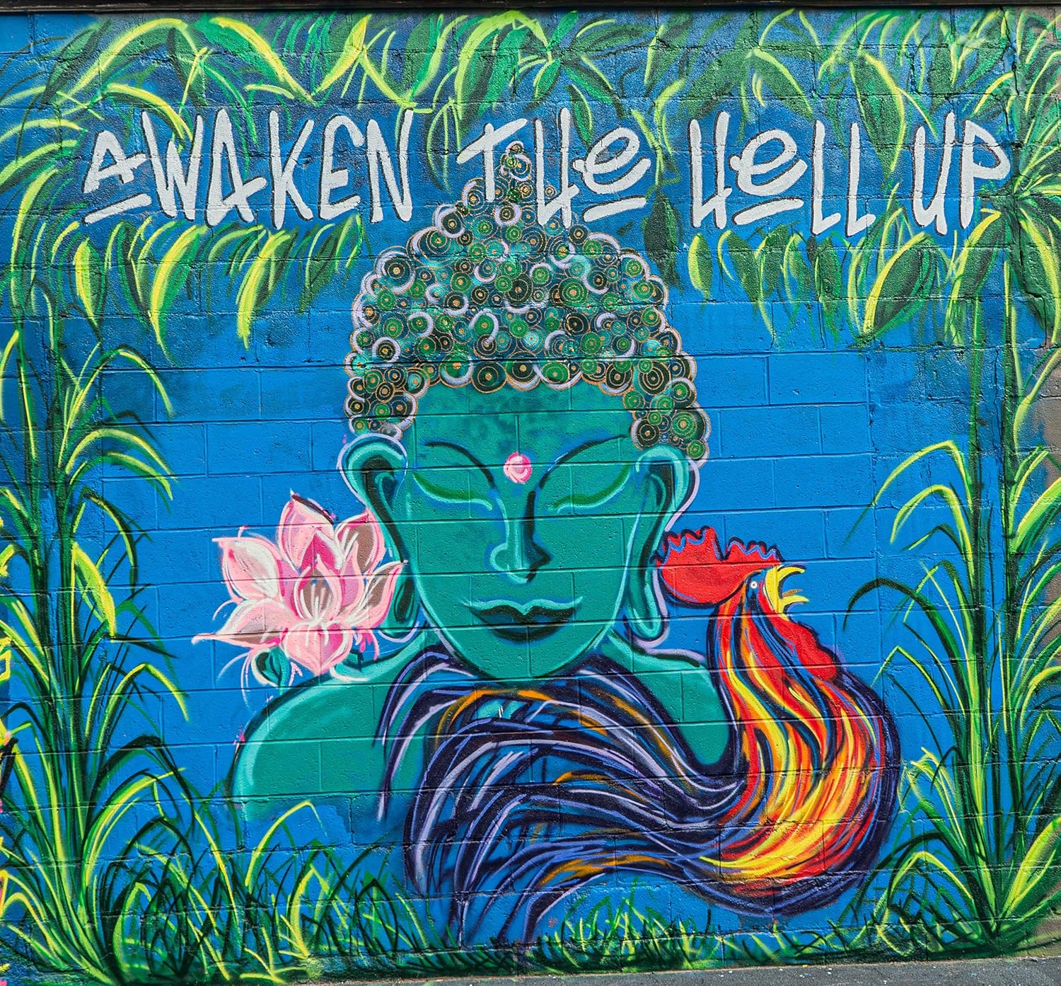 Wake The Hell Up! 12Oz Ultra-Caffeinated Ground Coffee, Low Acid, Medium-Dark Roast